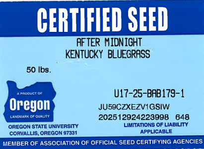 AFTER MIDNIGHT Kentucky Bluegrass - Image 3