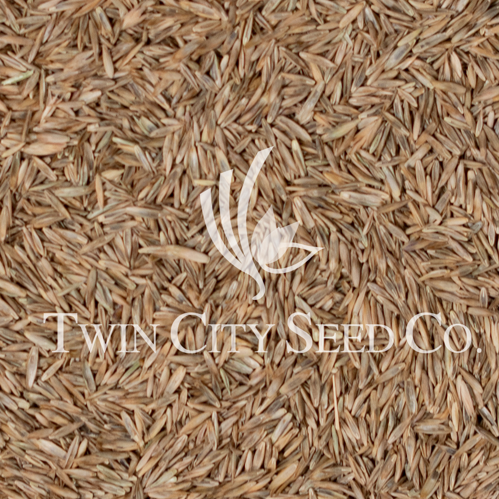 All Grass Pasture Mix