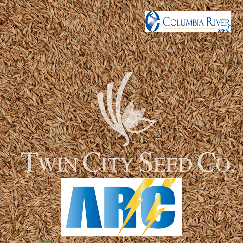 ARC II Kentucky Bluegrass