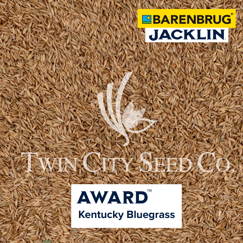 AWARD Kentucky Bluegrass