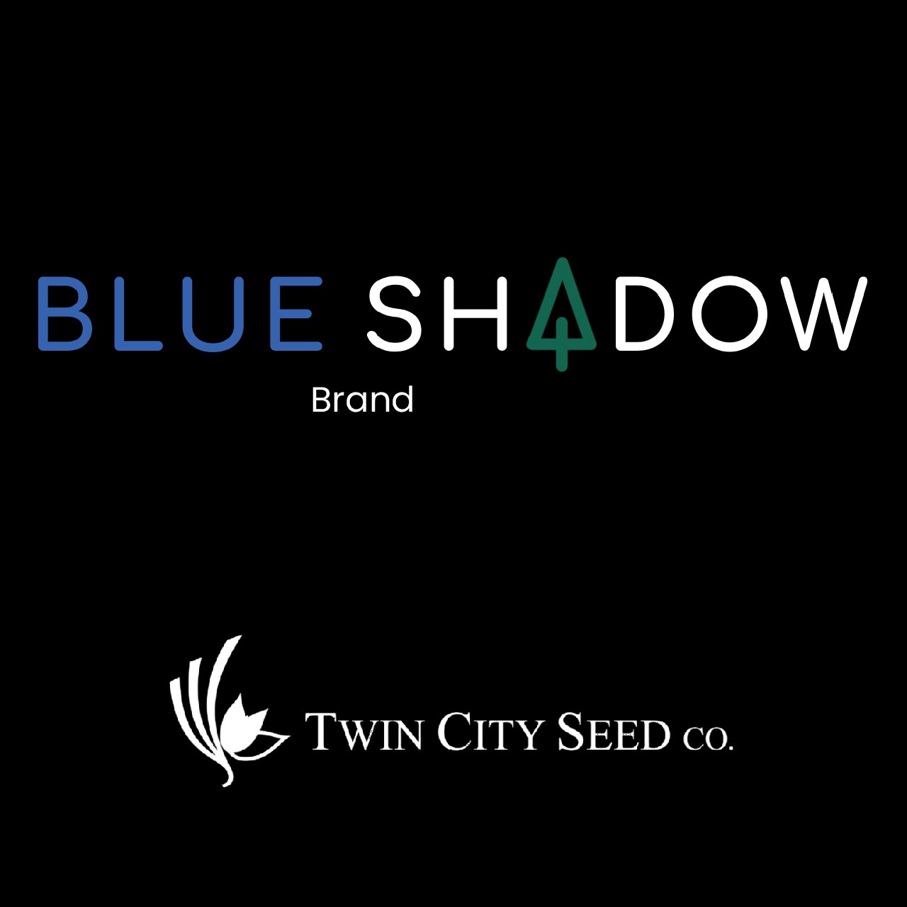 BLUE SHADOW Kentucky Bluegrass & Fine Fescue Mixture