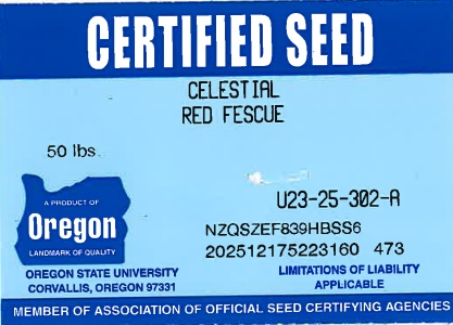 CELESTIAL Creeping Red Fescue (Strong) - Image 2