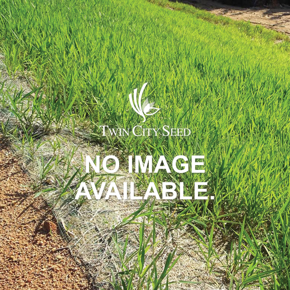 ProMatrix Hydromulch