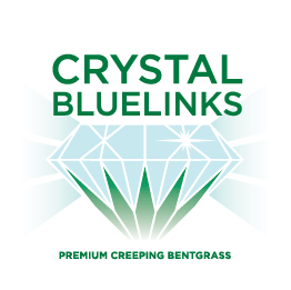 Crystal BlueLinks Creeping Bentgrass