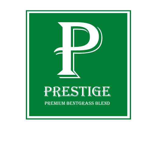 Prestige Premium Creeping Bentgrass Blend