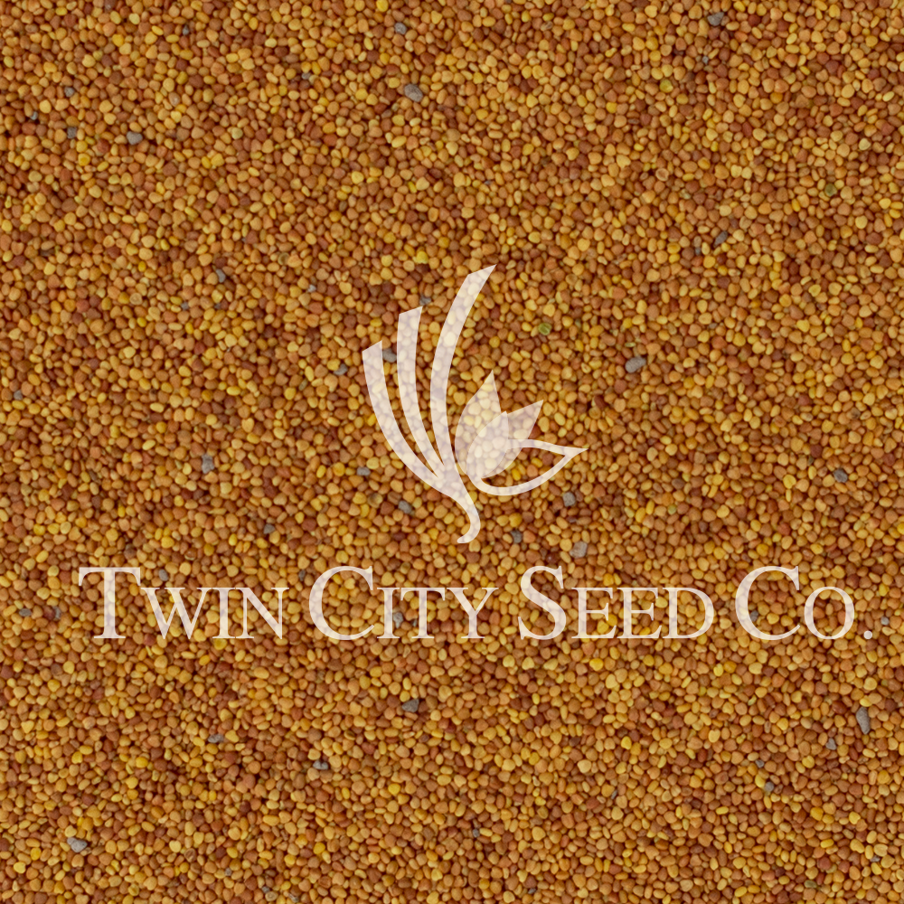 Viper Balansa Clover Coated