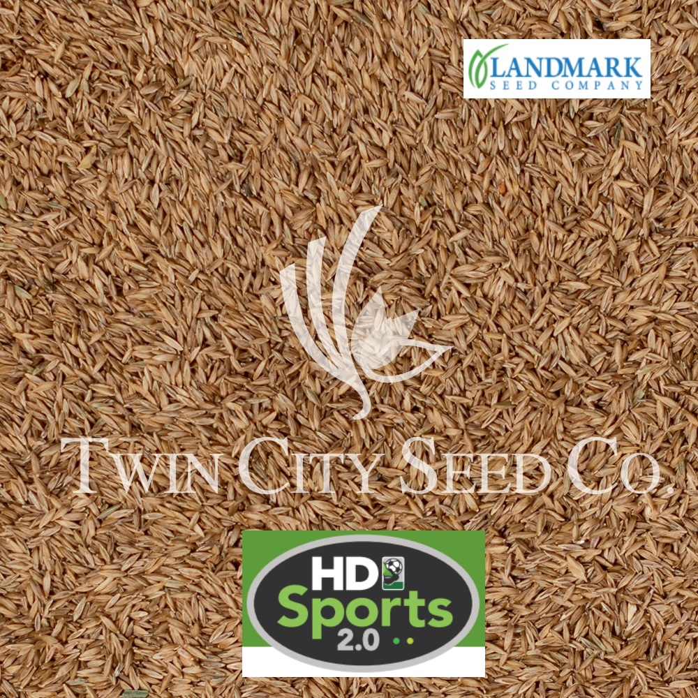 HD Sports 2.0™ Kentucky Bluegrass Blend