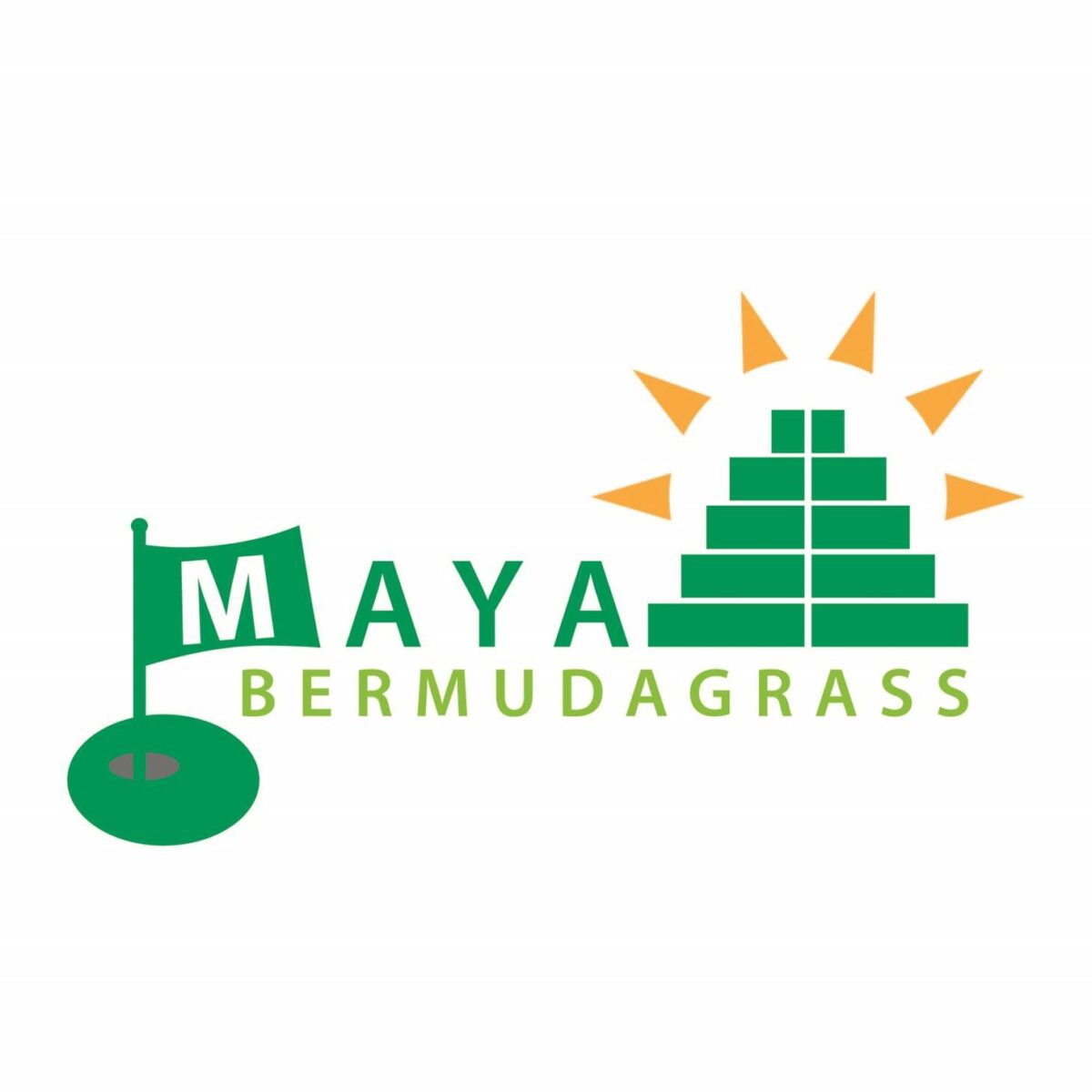 Maya Bermudagrass