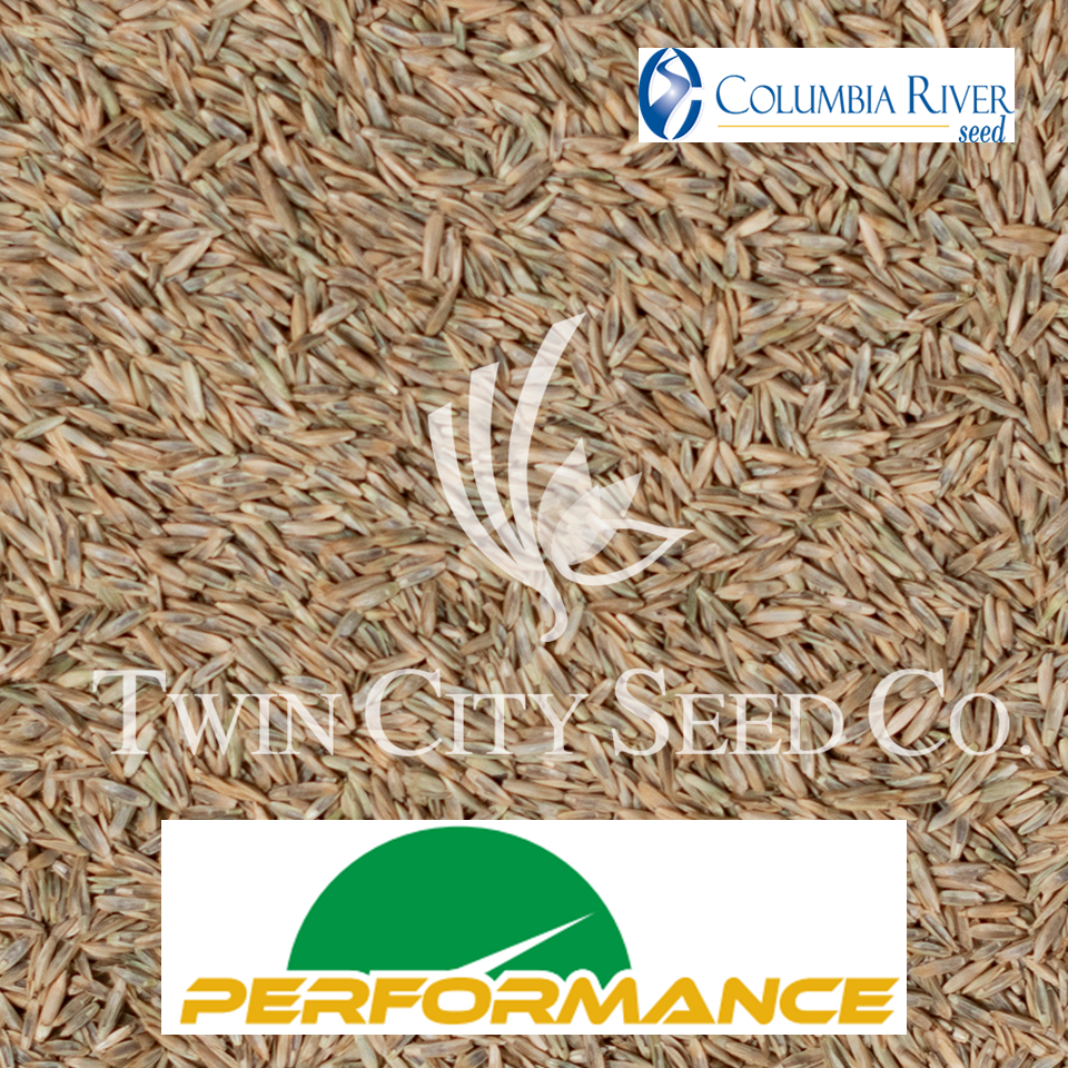 PERFORMANCE Perennial Ryegrass