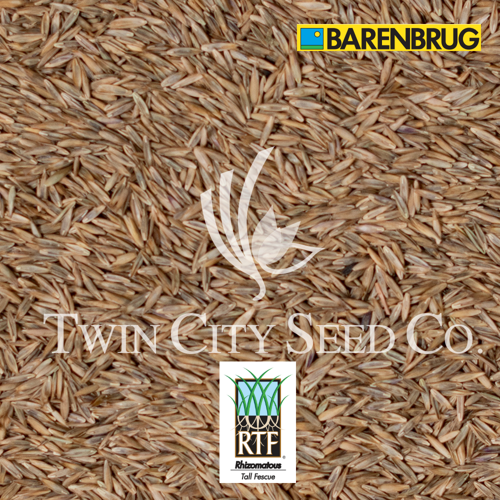 TURF SAVER RTF Turf Type Tall Fescue Blend