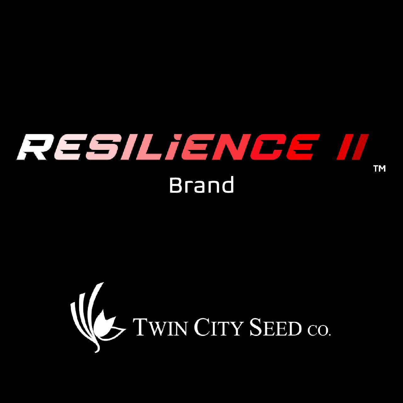 RESILIENCE™ II Turf Type Tall Fescue Blend
