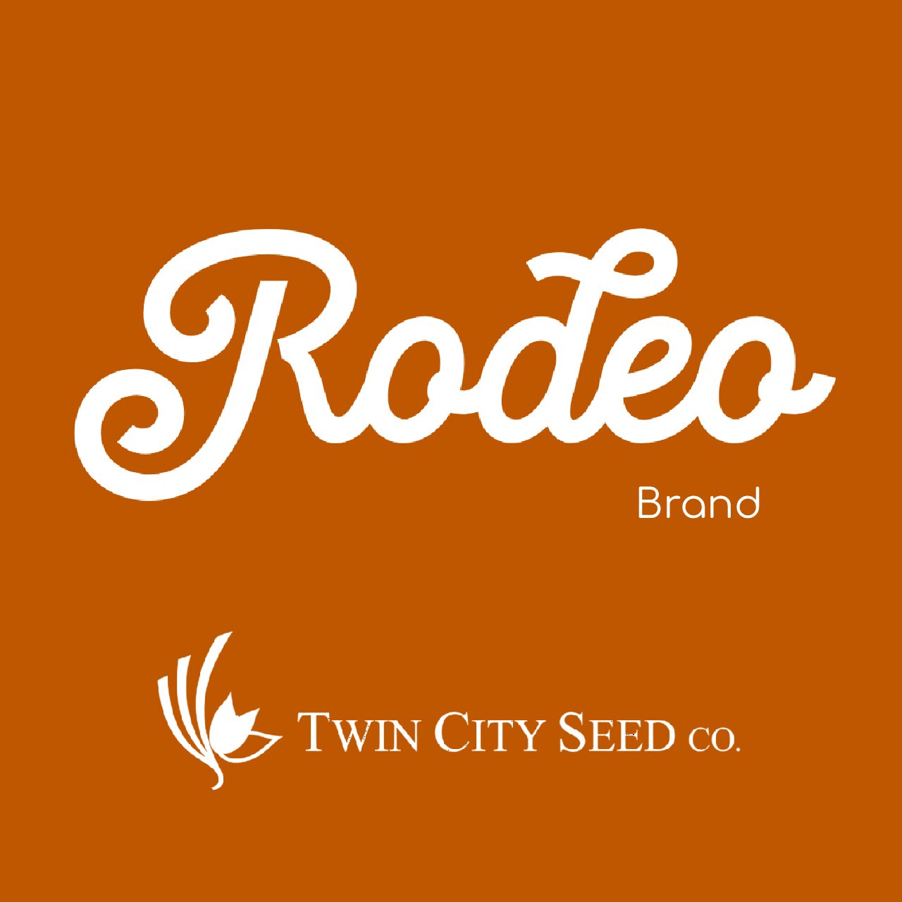 RODEO Kentucky Bluegrass Blend