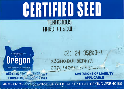 TENACIOUS Hard Fescue - Image 2