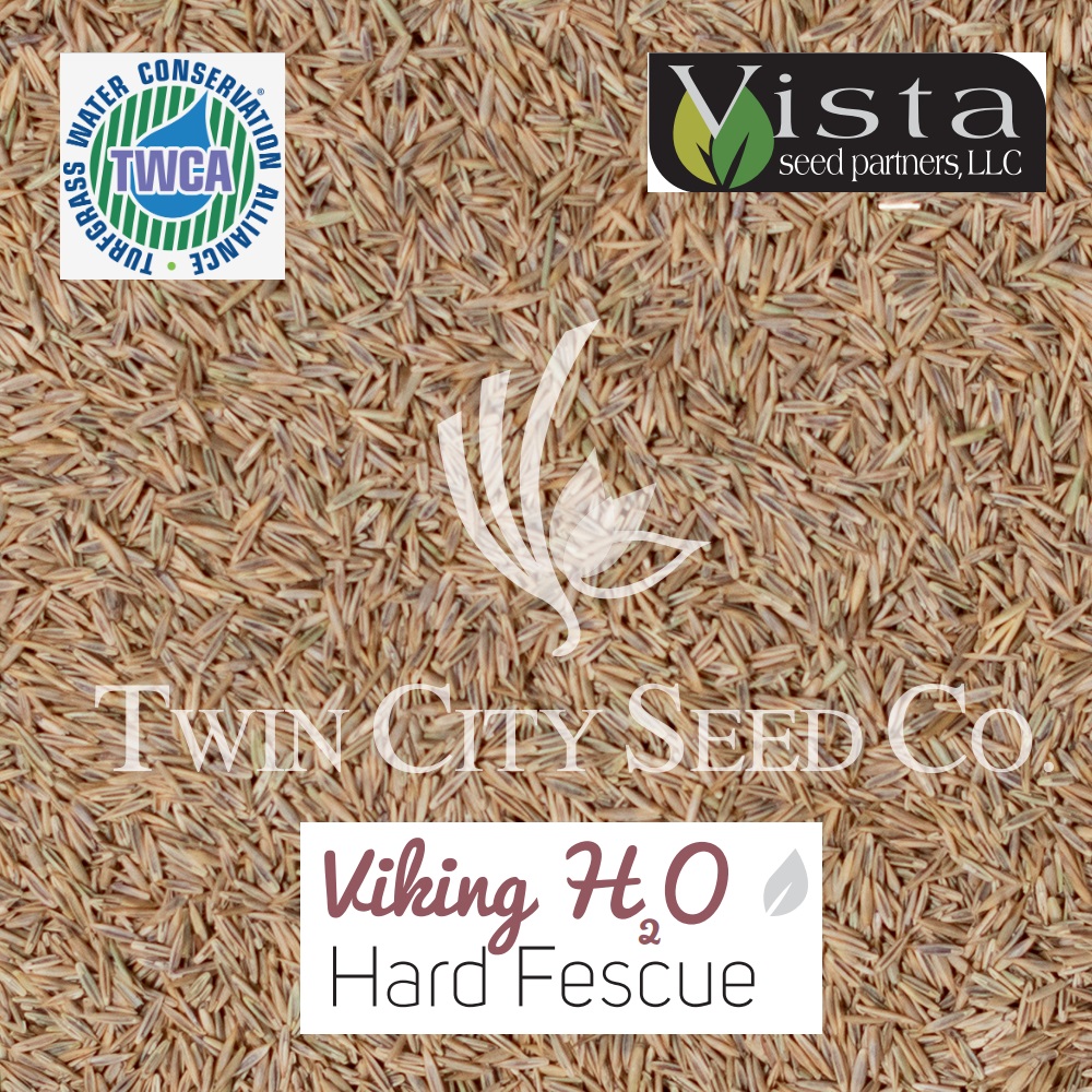 VIKING H20 Hard Fescue