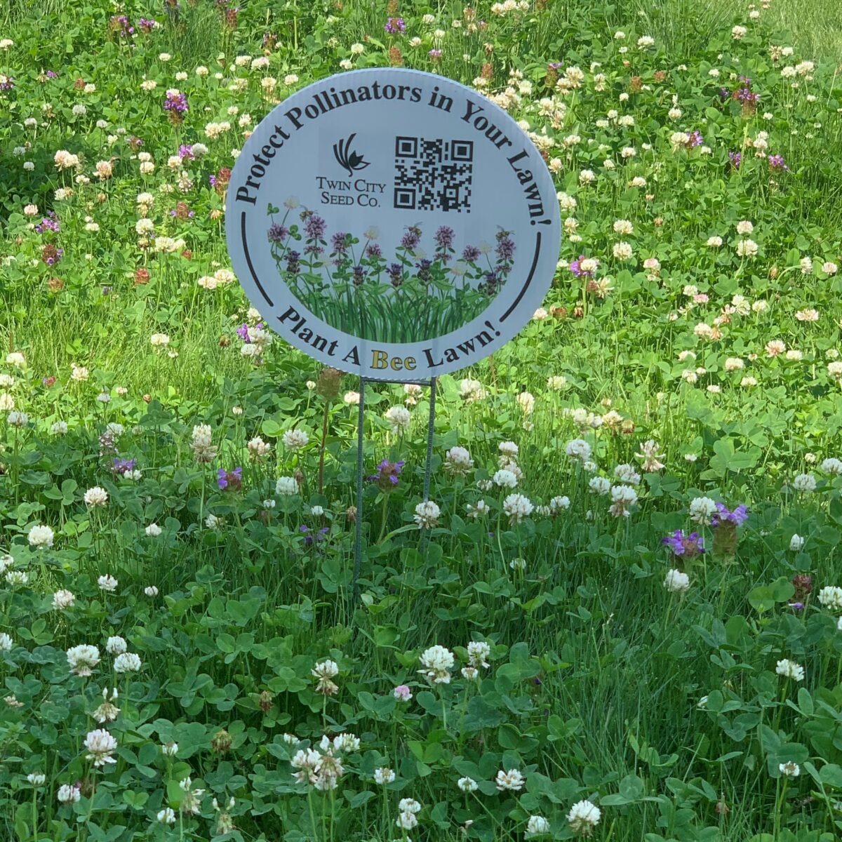 TCS Bee Lawn Seed Mixture™